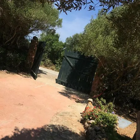 Rosina Sant'Antioco