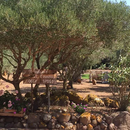 Rosina Holiday home *
